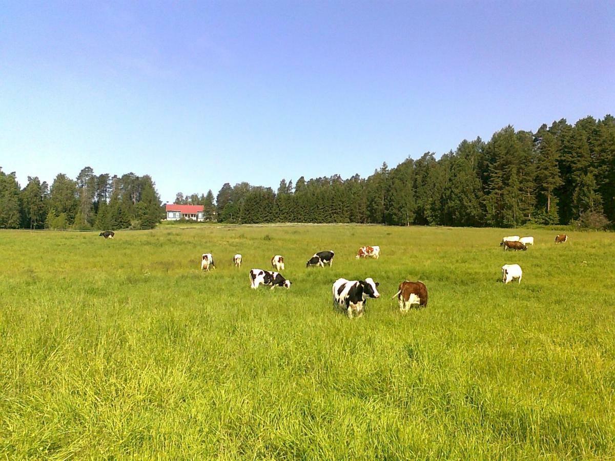 Lomakoivulehto Villa Koskenkylä Eksteriør bilde