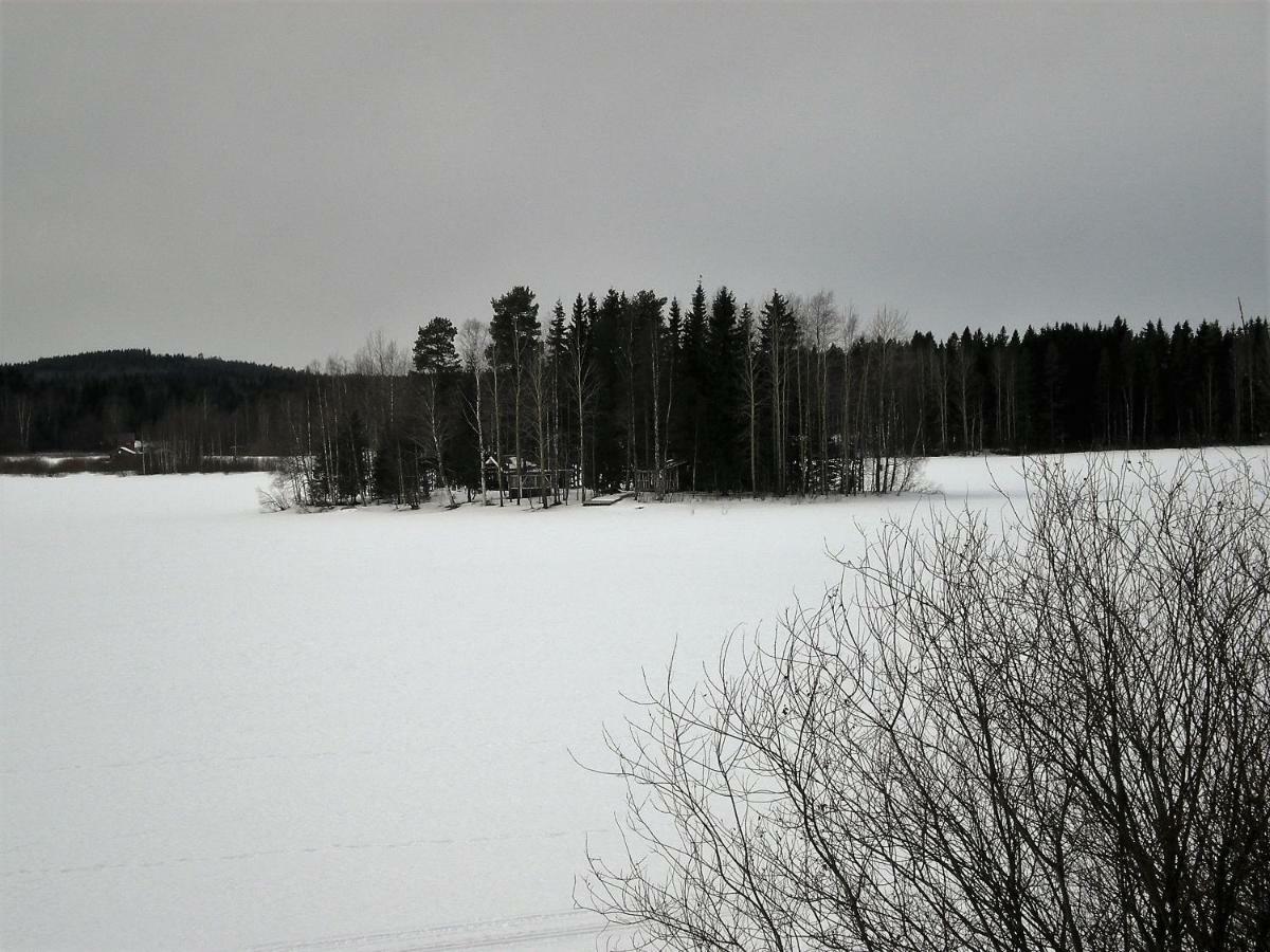 Lomakoivulehto Villa Koskenkylä Eksteriør bilde